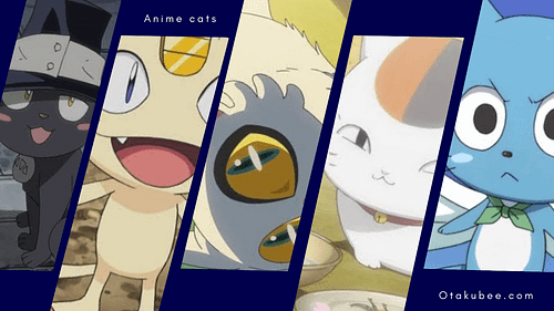 Best Anime Cats : Revealing Anime’s Purr-fection